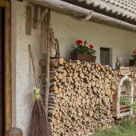 Lizina Hiska House Bohinj Villa Bohinjska Bistrica Exterior photo