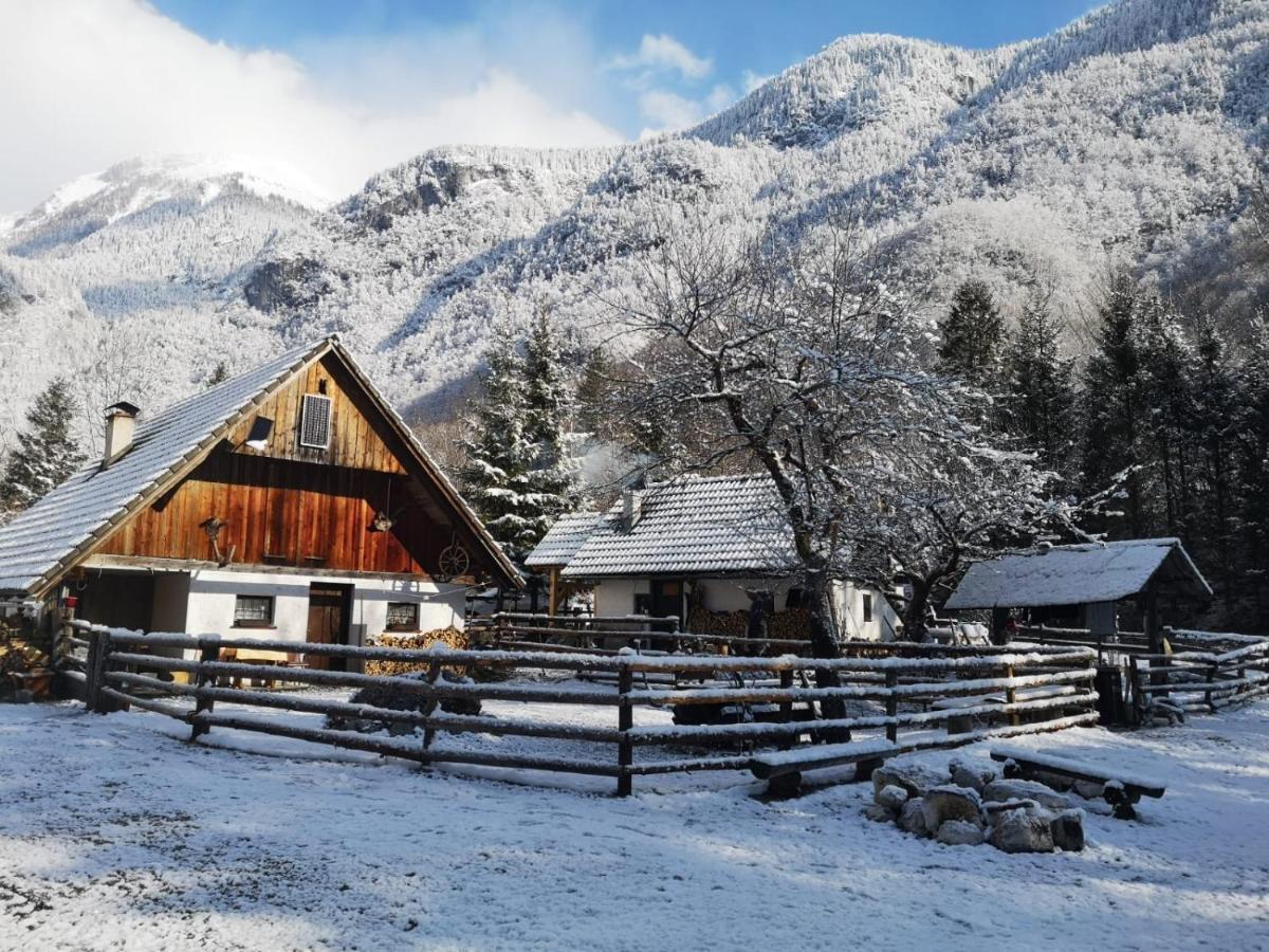Lizina Hiska House Bohinj Bohinjska Bistrica