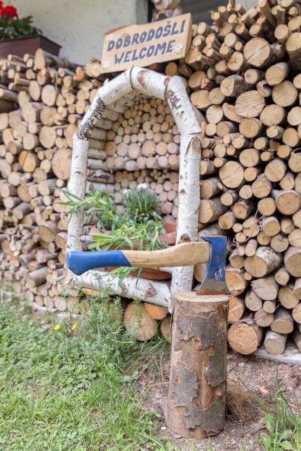Lizina Hiska House Bohinj Dom wakacyjny *