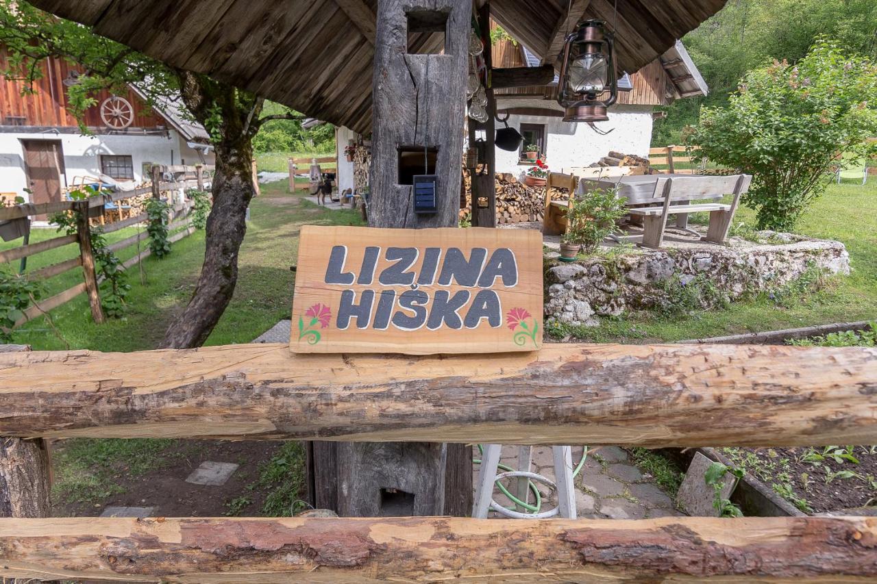 Dom wakacyjny Lizina Hiska House Bohinj Bohinjska Bistrica