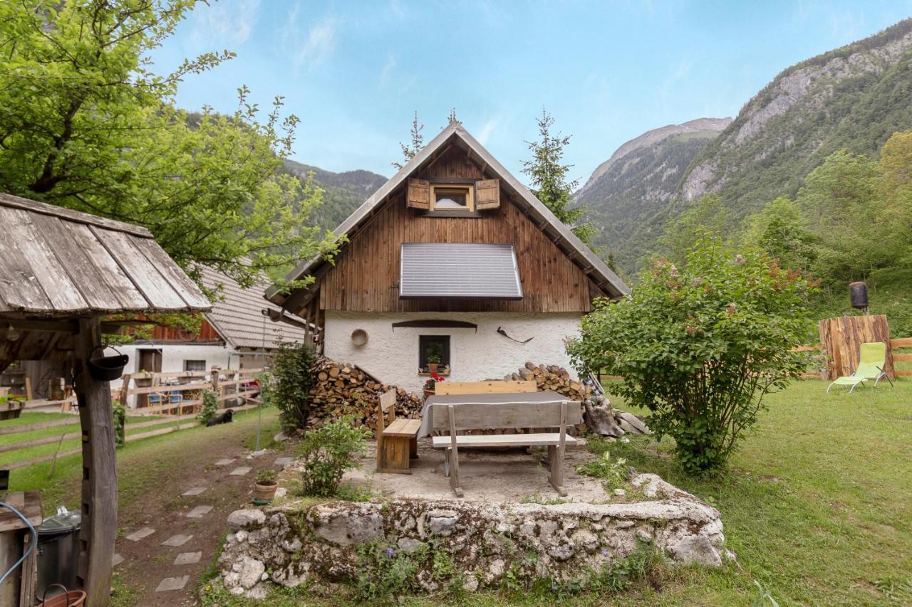 Lizina Hiska House Bohinj *